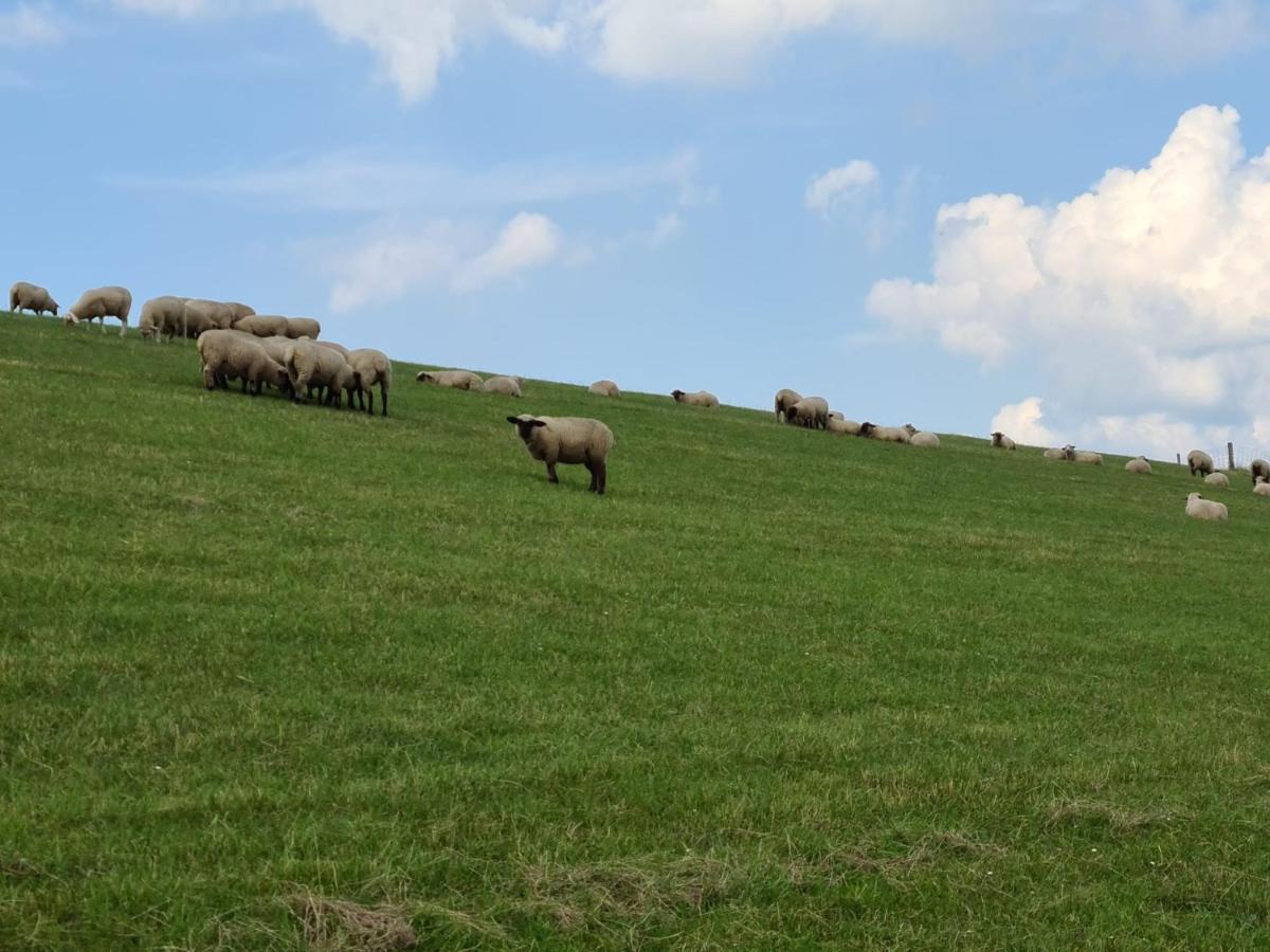Watt'N Blick - Hundefreundliches Ferienhaus Mit Ausblick Ueber Die Wiesen Bis Zum Deich Schweiburg Bagian luar foto